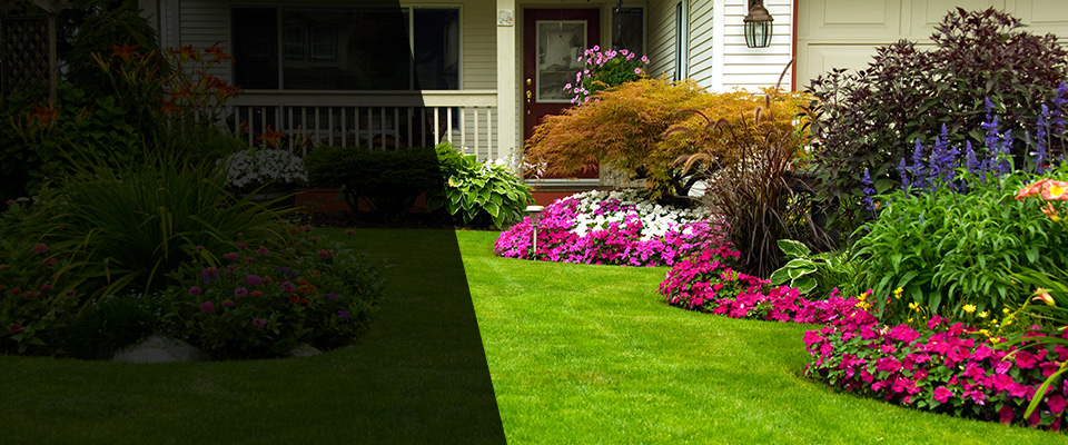 Wayne Landscapers