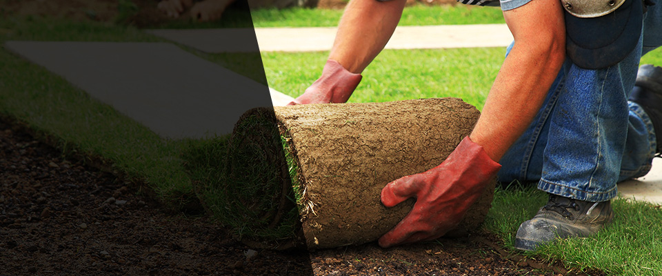 Wayne Landscapers